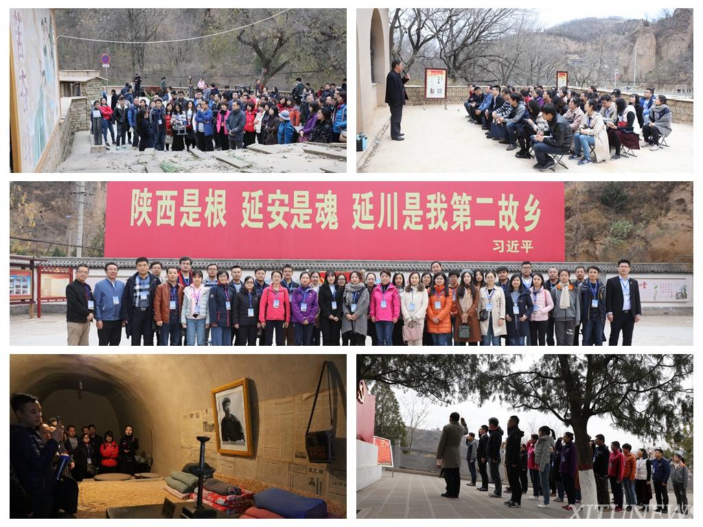 点击查看大图